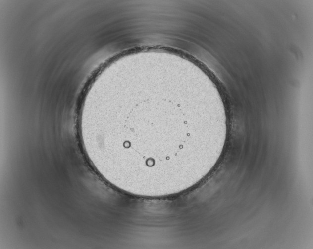 X0000113850832200910081644