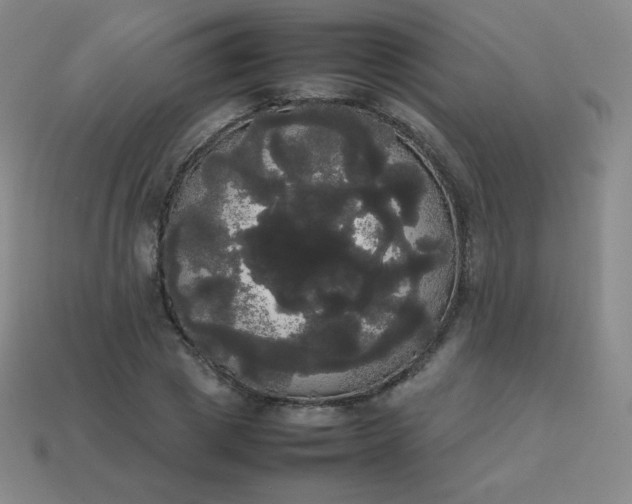 X0000113850833200910081644