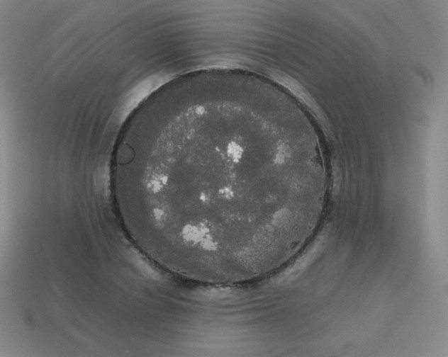 X0000113850834200910081644