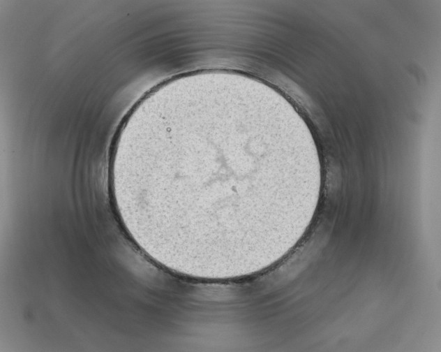 X0000113850836200910081644