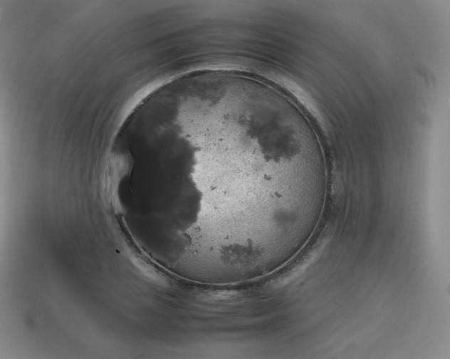 X0000113850837200910081644