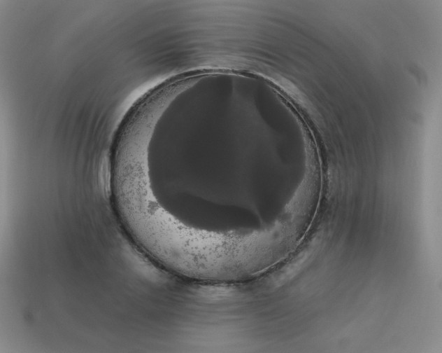 X0000113850838200910081644