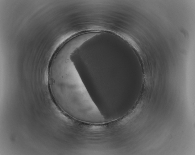 X0000113850839200910081644