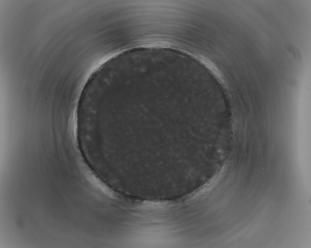 X0000113850840200910081644