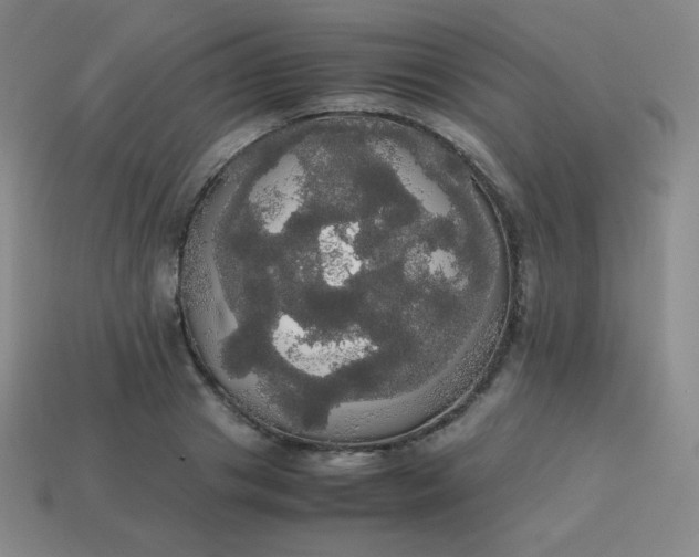 X0000113850841200910081644