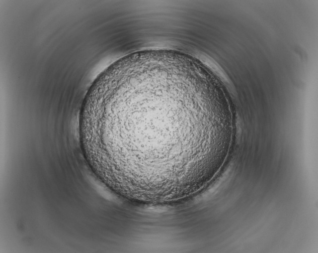 X0000113850842200910081644