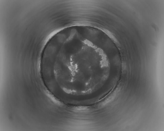 X0000113850846200910081644