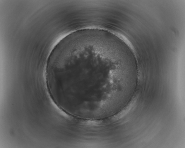 X0000113850847200910081644