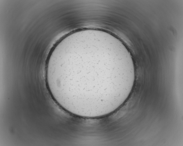 X0000113850848200910081644