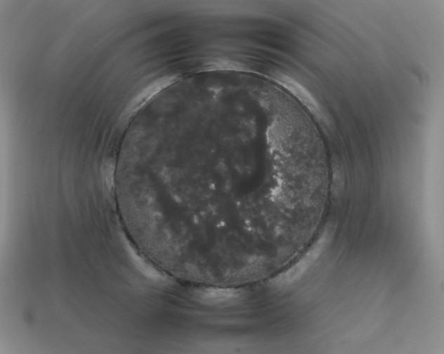 X0000113850849200910081644