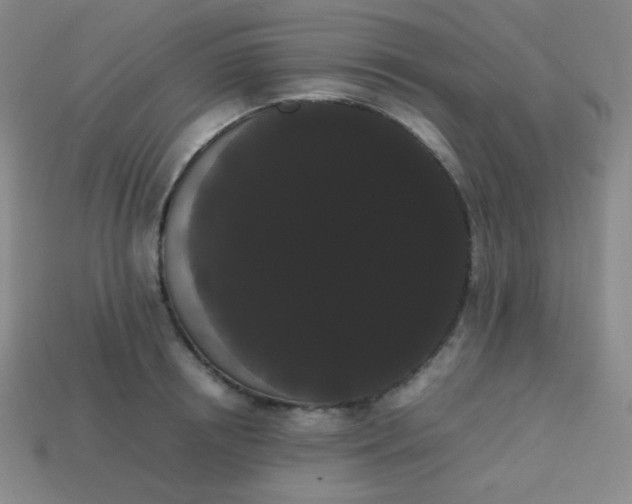 X0000113850850200910081644