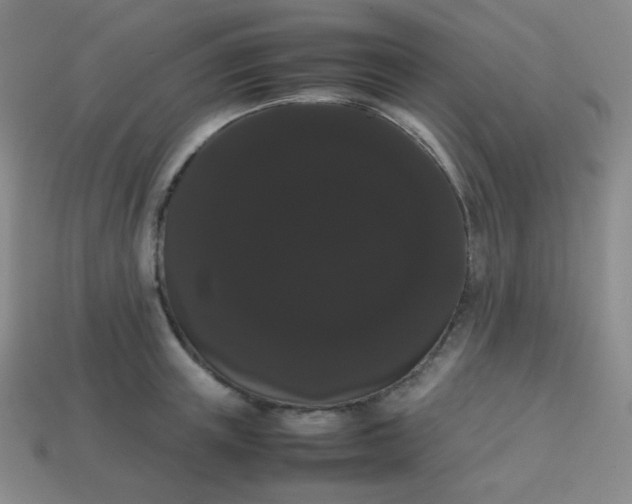 X0000113850851200910081644