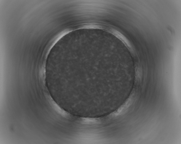 X0000113850852200910081644