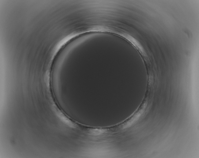 X0000113850854200910081644