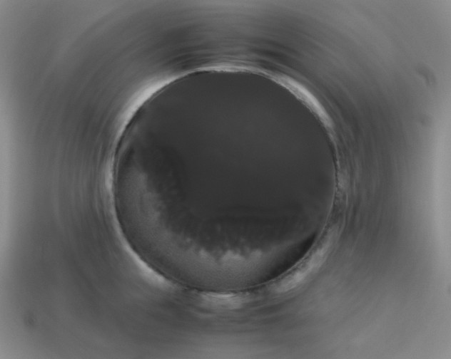 X0000113850855200910081644