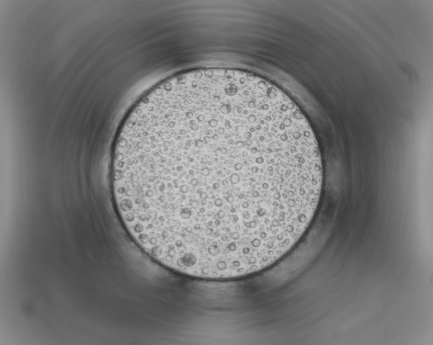 X0000113850856200910081644