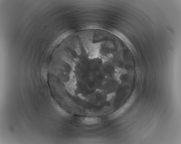 X0000113850857200910081644