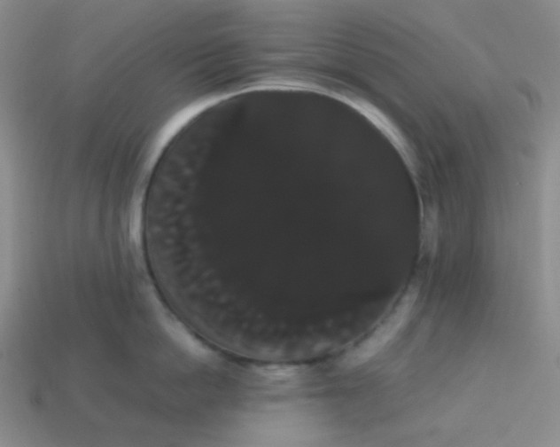 X0000113850862200910081644