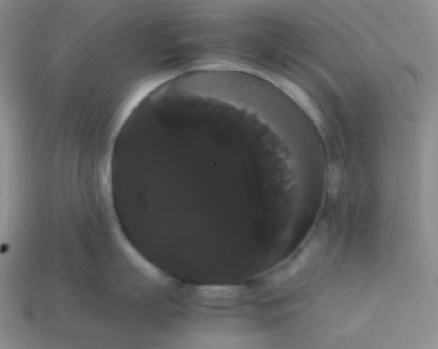 X0000113850863200910081644