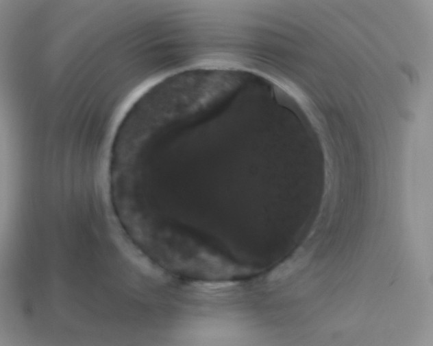 X0000113850864200910081644