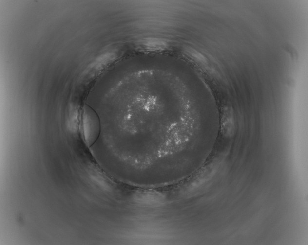 X0000113850866200910081643