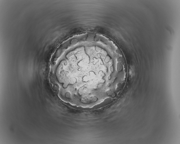 X0000113850867200910081643