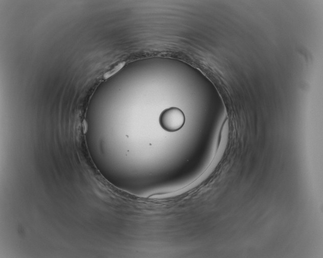 X0000113850868200910081643