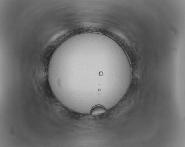 X0000113850869200910081643