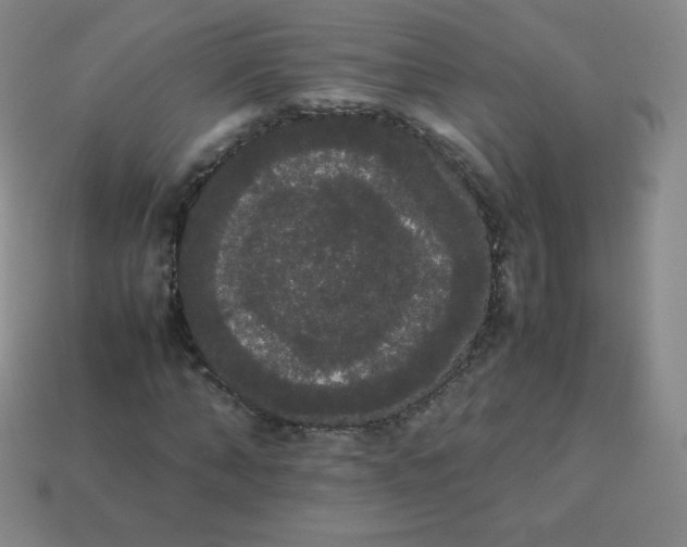 X0000113850870200910081643