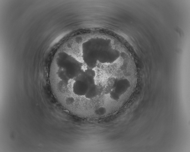 X0000113850871200910081643