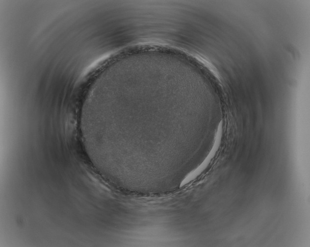 X0000113850872200910081643