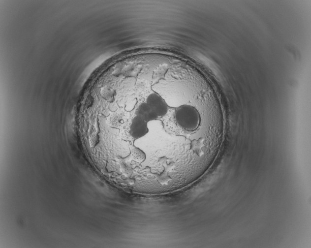 X0000113850875200910081643