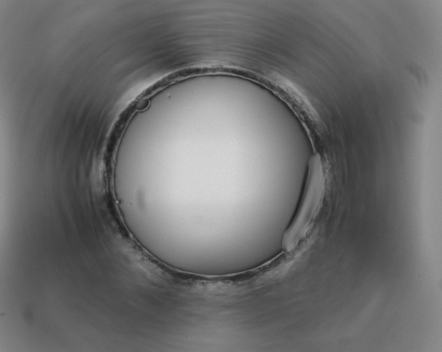 X0000113850876200910081643