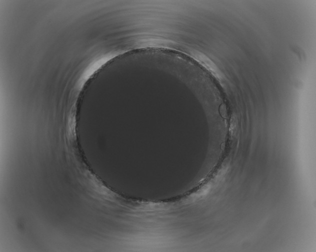 X0000113850877200910081643