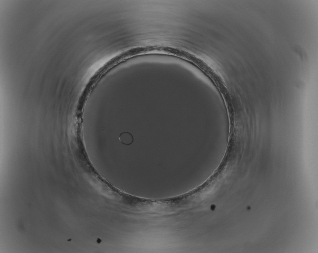 X0000113850879200910081643