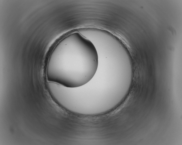 X0000113850880200910081643