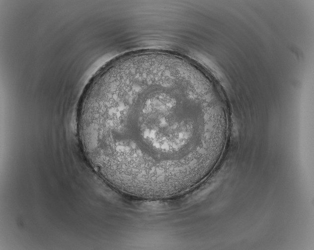 X0000113850883200910081643