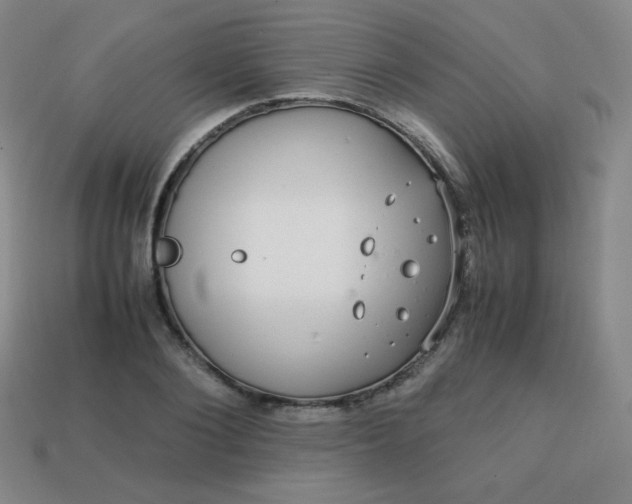 X0000113850884200910081643