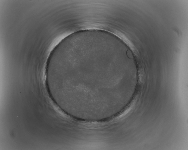 X0000113850885200910081643