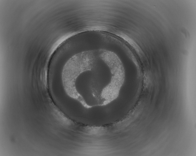 X0000113850886200910081643