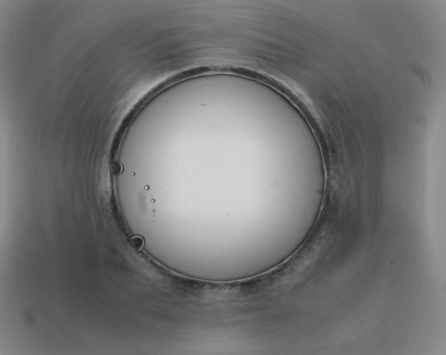 X0000113850887200910081643