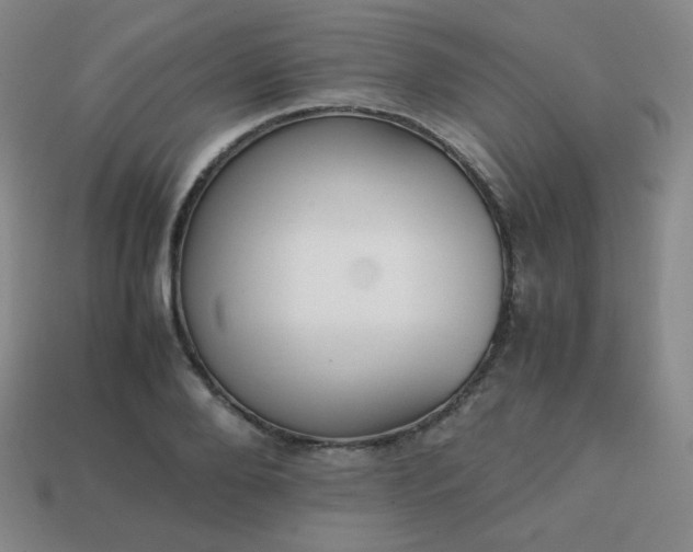 X0000113850888200910081643