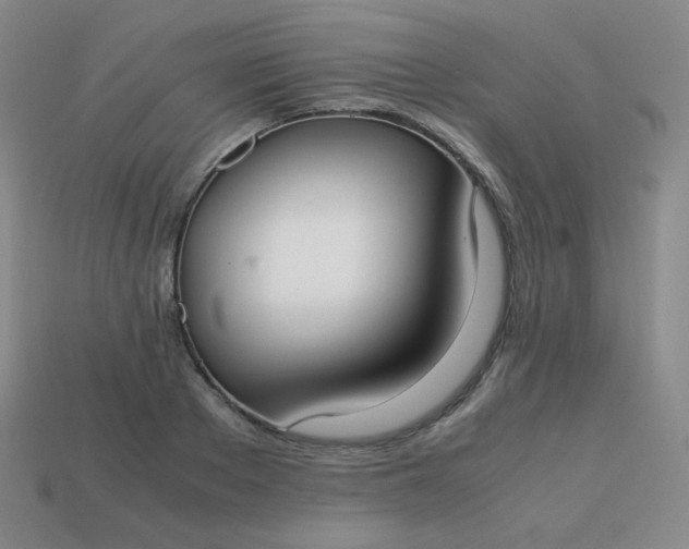 X0000113850889200910081643