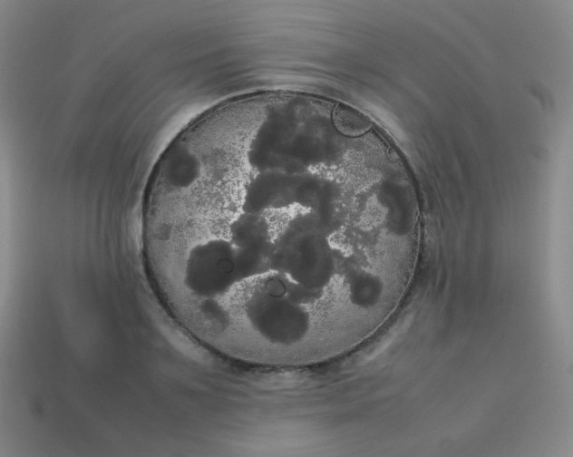 X0000113850891200910081643