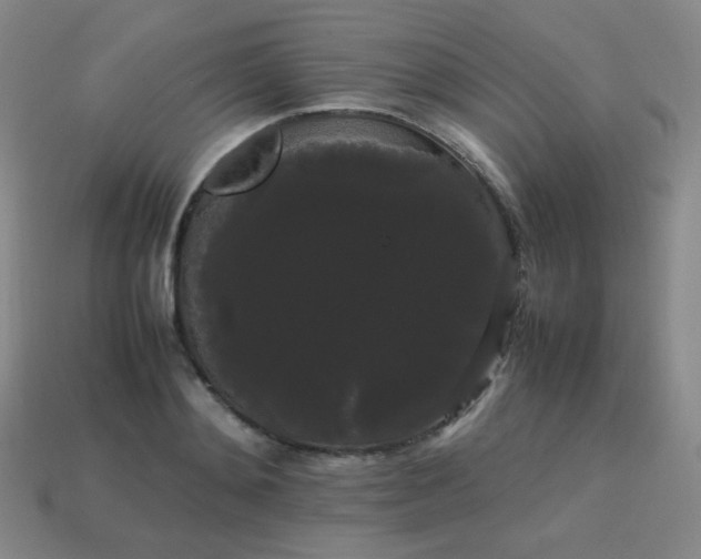 X0000113850892200910081643