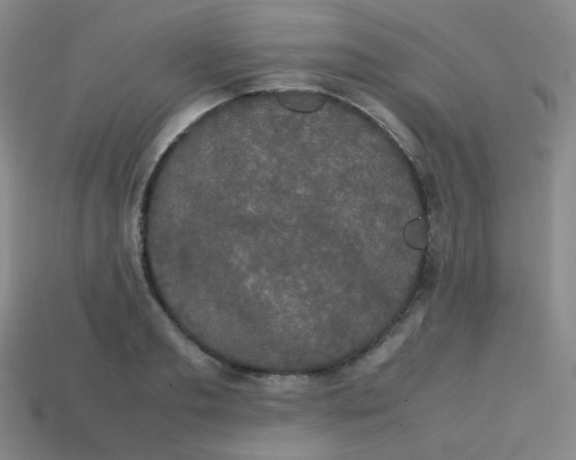 X0000113850893200910081643