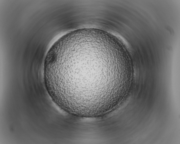 X0000113850894200910081643