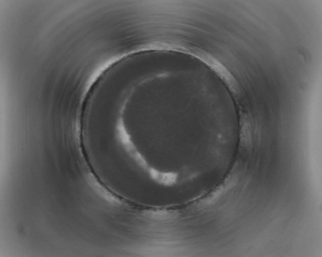 X0000113850896200910081643