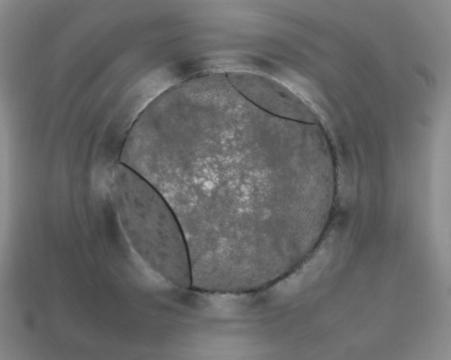 X0000113850897200910081643