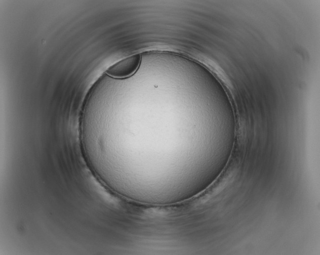 X0000113850898200910081643